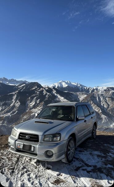 чехлы на авто сиденье: Subaru Forester: 2004 г., 2.5 л, Автомат, Бензин, Универсал