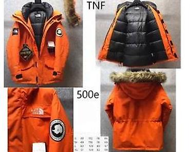 Zimske jakne: THE NORTH FACE, TOP SPORTSKE JAKNE, 2025-26 | Novo! ! ! Hit. Hit — 18