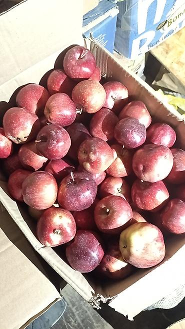 Продукты питания: Яблоки В розницу — 1