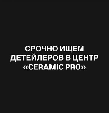 аппарат химчистка: Требуется Детейлер - Химчистка, Процент от дохода, 1-2 года опыта, Обучение