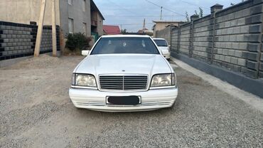 Mercedes-Benz: Mercedes-Benz S 420: 1993 г., 4.2 л, Автомат, Газ, Седан