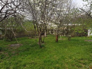 Torpaq sahələrinin satışı: 12 sot, Tikinti, Makler, Kupça (Çıxarış) — 19