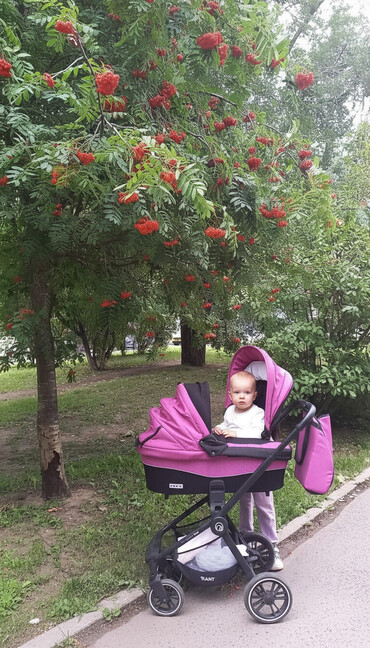 Коляски: Коляска, цвет - Розовый, Б/у — 2