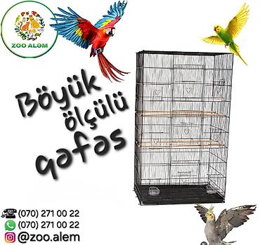 donuz heyvan: Böyük ölçülü tutuquşu qəfəsi - Ölçülər: 150 sm hündürlük, 78 sm en, 46 — 1