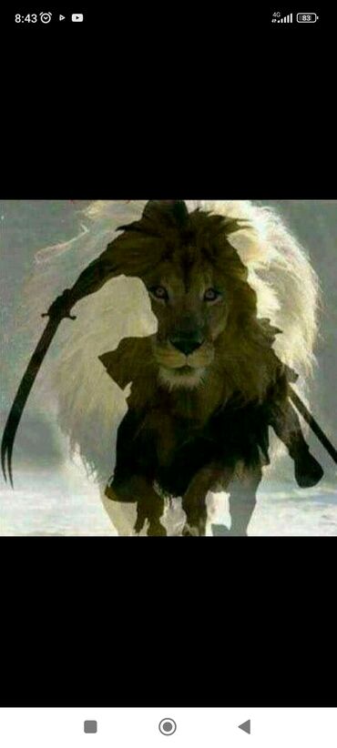 работа на ночную смену: Требуется сотрудник охраны, график работы ночь с 22:00 до 8:00утра, ЗП