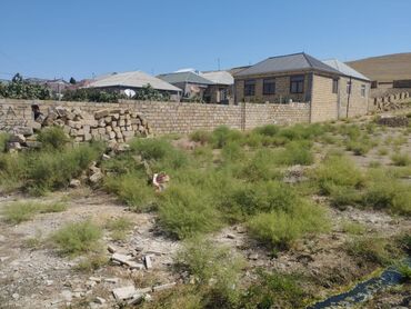 Torpaq sahələrinin satışı: 8 sot, Tikinti, Mülkiyyətçi, Bələdiyyə — 2