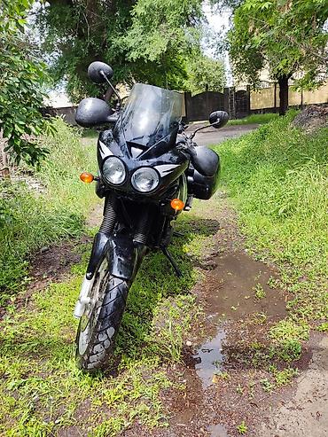 range over: Мотоцикл тур-эндуро Triumph Tiger 955i 2003год Пробег: 20396 В — 4