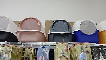 Pişiklər: Erkək, Pulsuz çatdırılma — 11