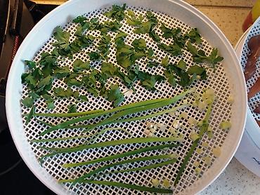 Сушилки для овощей и фруктов: Дегидраторы-сушилки для овощей и фруктов российского производства — 7