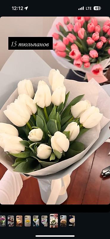 Букеты из живых цветов: Тюльпаны в стильной упаковке — яркие и нежные моно-букеты. Варианты — 5