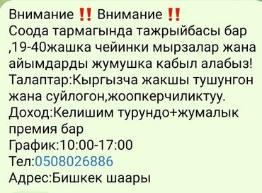 бишкек дордой: Помощник завскладом. 1-2 года опыта