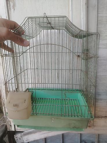 Qəfəslər: Quş qəfəsi – metal karkaslı, yaşıl rəngdə plastik altlıqlı model — 3