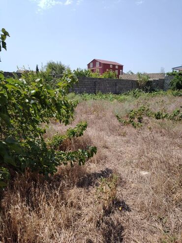 16 mine evler: Bakı, Buzovna, 32 kv. m, 2 otaqlı, Hovuzsuz, Qaz, Su, İnternet