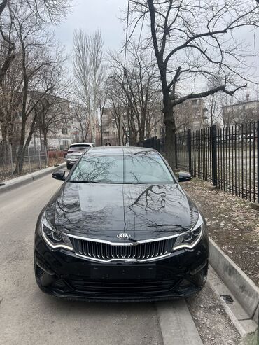 авария болгон: Kia K5: 2019 г., 2 л, Автомат, Бензин, Седан