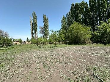 Продажа коттеджей и домов: Продаётся жилой дом с большим участком и хозпостройками. - — 2