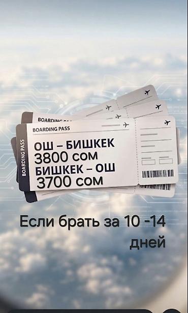 самолет бишкек каракол: Toлько Whatsapp + Авиабилеты по маршруту Ош — Бишкек и Бишкек — Ош — 1