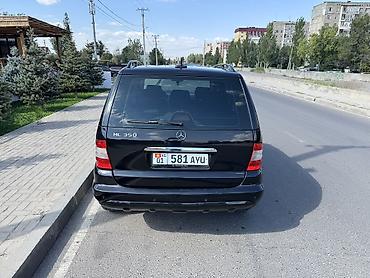 Mercedes-Benz: Mercedes-Benz M-Class: 2004 г., 3.7 л, Автомат, Газ, Внедорожник — 10