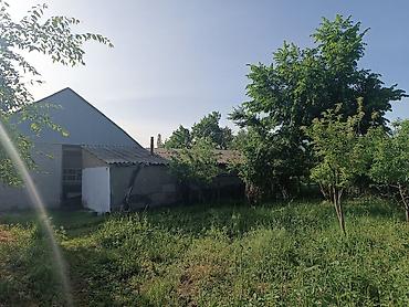дом пр: Дом с участком и хозпостройками - Одноэтажный дом с двускатной — 4