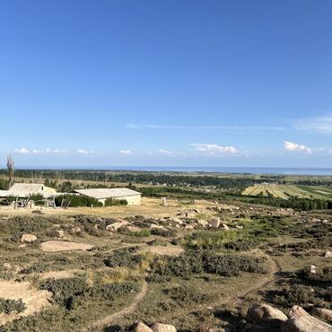 Сельхоз предприятия: Продаю Кошара, 40 соток, Действующий, С оборудованием, Отопление, Холодная вода, Электричество at lalafo.kg — 10 Сельхоз предприятия: Продаю Кошара, 40 соток, Действующий, С оборудованием, Отопление, Холодная вода, Электричество — 10