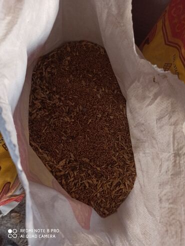 осьминожка перевертыш цена бишкек в Кыргызстан | Игрушки: Пшеница есть доставка