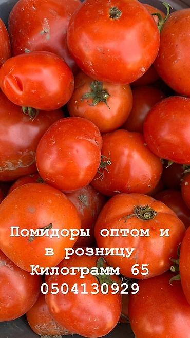 томат цена бишкек: Помидоры Красные, Оптом, В розницу — 1