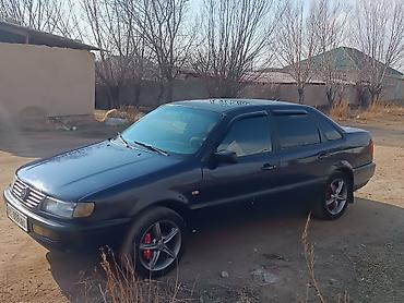 Volkswagen: Volkswagen Passat: 1995 г., Седан — 7