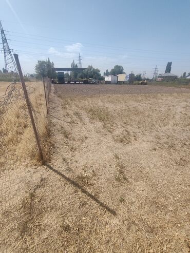 Продажа участков: 33 соток, Для бизнеса, Красная книга — 6