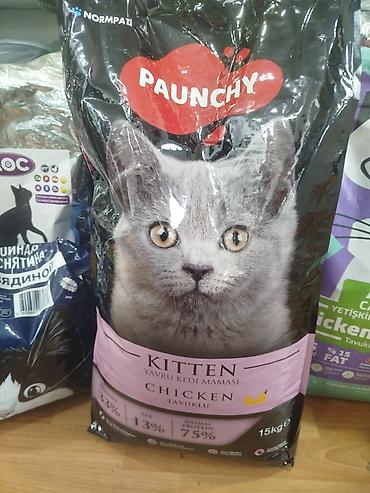 сухой корм для кошек: Kittylife Adult Sterilised Cat Food – Salmon Formula, 10 кг - Сухой — 6