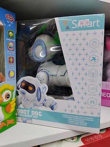 емо робот: Интерактивная игрушка Robot Dog – «умный» питомец для детей. Основные — 1