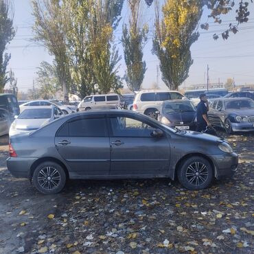 Toyota: Toyota Corolla: 2007 г., 1.6 л, Механика, Бензин, Седан