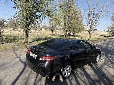 renault koleos: Toyota Camry: 2009 г., 2.5 л, Автомат, Бензин, Седан — 4