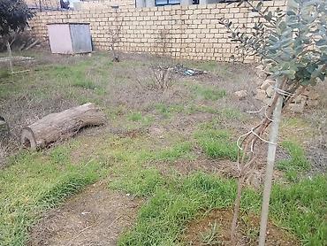 qubada torpaq satilir 2026: 2 sot, Tikinti, Mülkiyyətçi, Kupça (Çıxarış) — 3