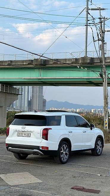 4wd 20132020: Hyundai Palisade: 2020 г., Кроссовер — 6