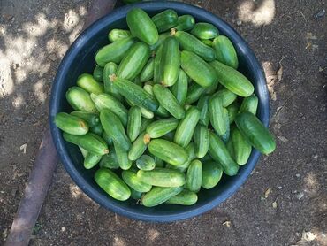 Продажа участков: 10 соток — 21