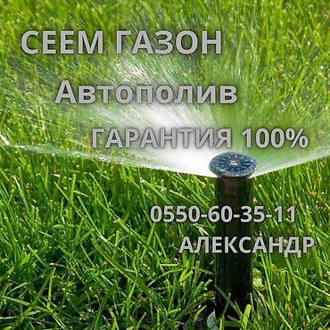 Автополив! Автополив газона. Устанавливаем автоматические поливные