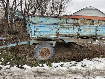 Другие тракторы: Трактор колесный с навесным плугом МТЗ-80 +прицеп. Соко. Арышник — 12