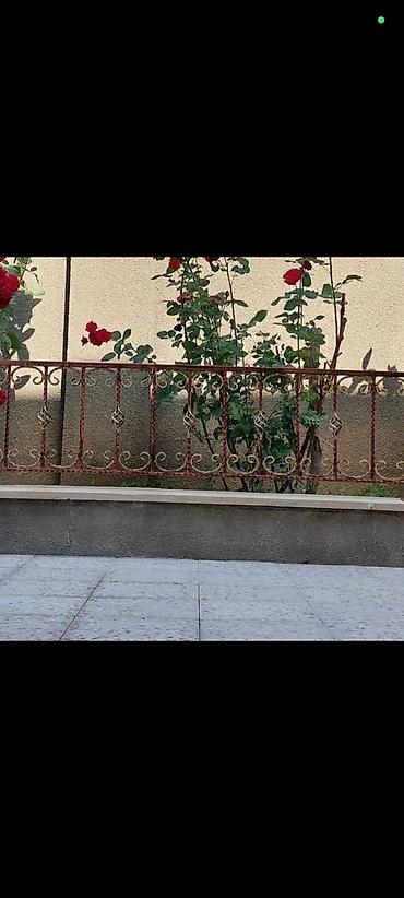 Barmaqlıqlar: Məhəccər (Perilla ) Resotka sifarişlərinin qəbulu. Resotka 1-kv 30 — 10