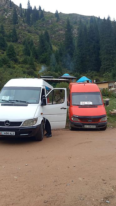 Такси: Бус на заказ трансфер — 4