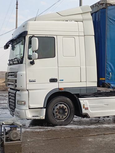 Тягачи: Тягач, DAF, 2013 г., Шторный — 2