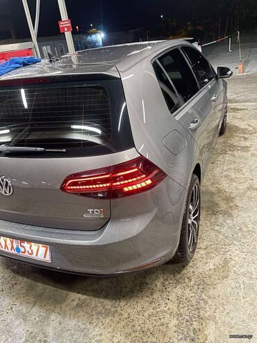 Volkswagen: Volkswagen Golf: 1.6 l. | 2014 έ. Χάτσμπακ — 4