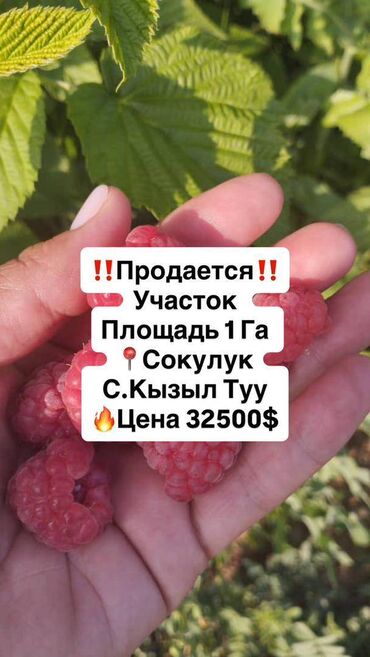 сдаю дом долгосрочно ош: 100 соток, Для сельского хозяйства, Договор купли-продажи