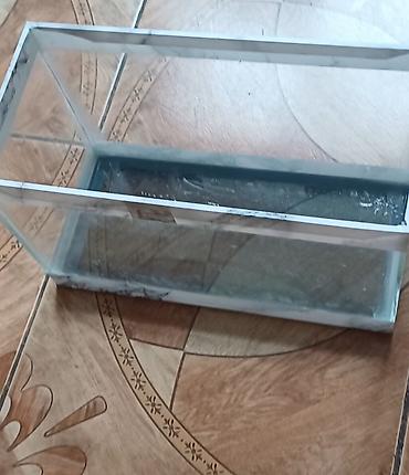 akvarium baki: Dördbucaq akvarium, Boş, 10 l — 4