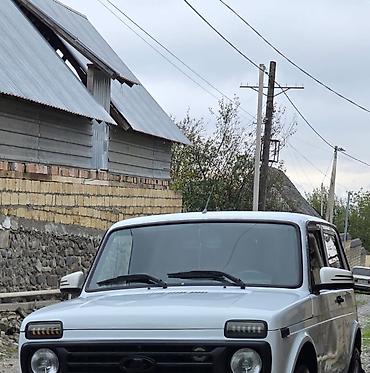 vaz 2107 pərdə: Ön patpres, lobovoy, VAZ (LADA) 2121, 2014 il, Rusiya — 2