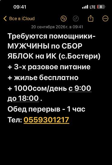 работа водитель с: Требуется Сборщик урожая, Оплата: Дважды в месяц, Ежемесячно, Питание — 1