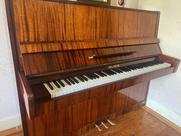 Saz: Piano, Belarus, Akustik, İşlənmiş, Ünvandan götürmə