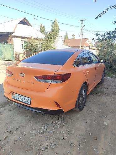 базарить: Hyundai Sonata: 2019 г., 2 л, Автомат, Газ, Седан — 3