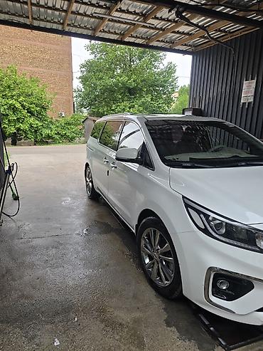 Kia: Kia Carnival: 2019 г., Минивэн — 9
