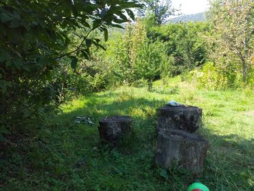 Bağ evlərinin satışı: Bakı, 150 kv. m, 2 otaqlı — 6