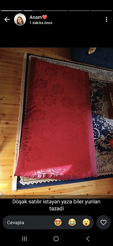bitki toxumlarinin satisi: Yun və ördək tükü ilə doldurulmuş əl işi yataq dəsti bular numunedi — 1