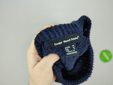 canda zwroty: Cedar Wood State, Sweter dla mężczyzn, rozmiar M — 5